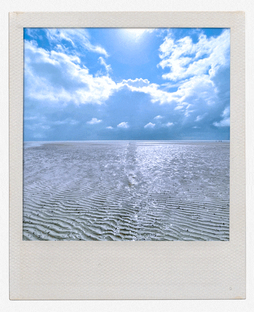 Animation-Steffi-Landschaft2-klein