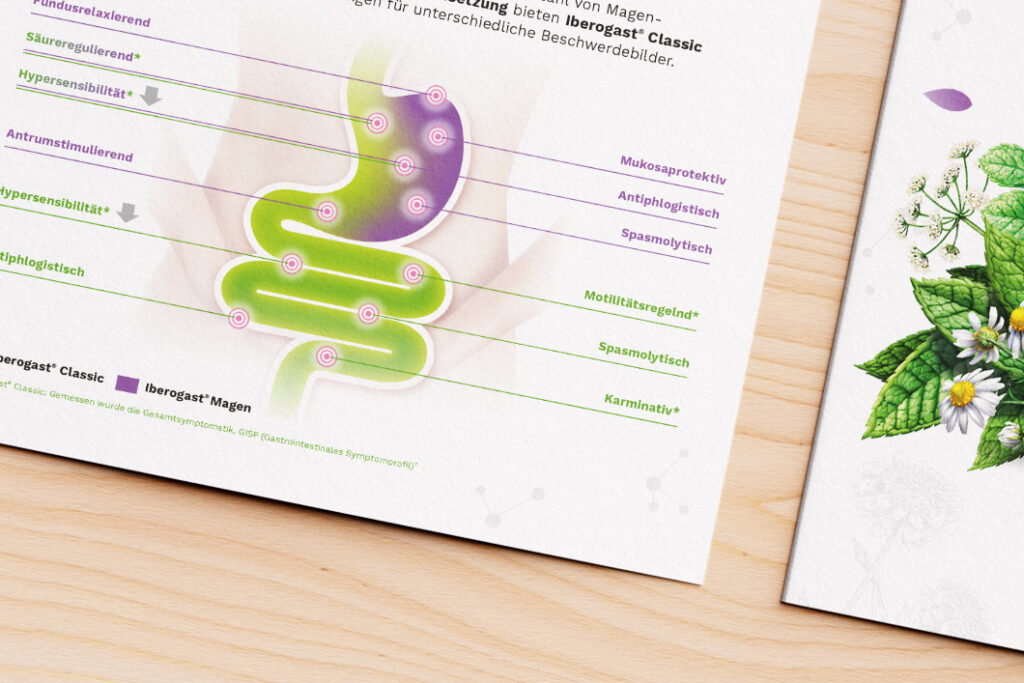 Iberogast Grafik Magen Detail mit Icons
